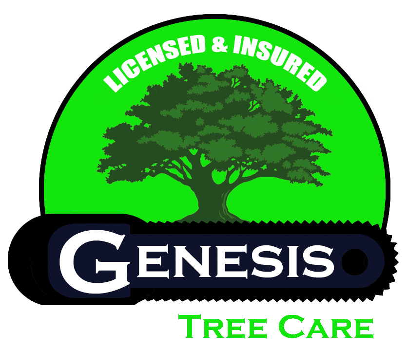 Genesis Tree Care